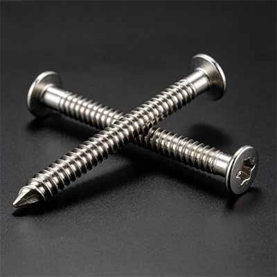 Stainless Steel Nail In Anchors factory